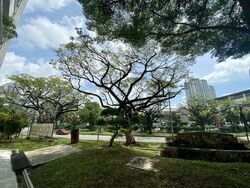 Jurong East Street 21 (D22), Shop House #453516991
